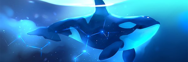 King is indecisive 💙✨'s banner