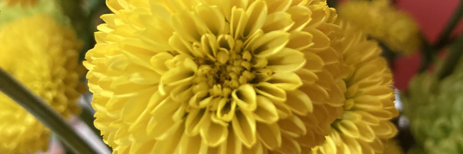 KateBartling's profile banner image