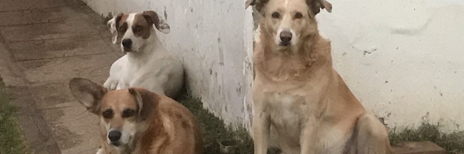 Soledadjr's profile banner image