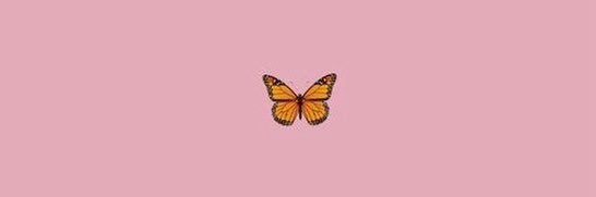 • banner