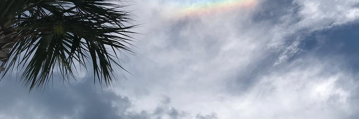 basakinbu's profile banner image