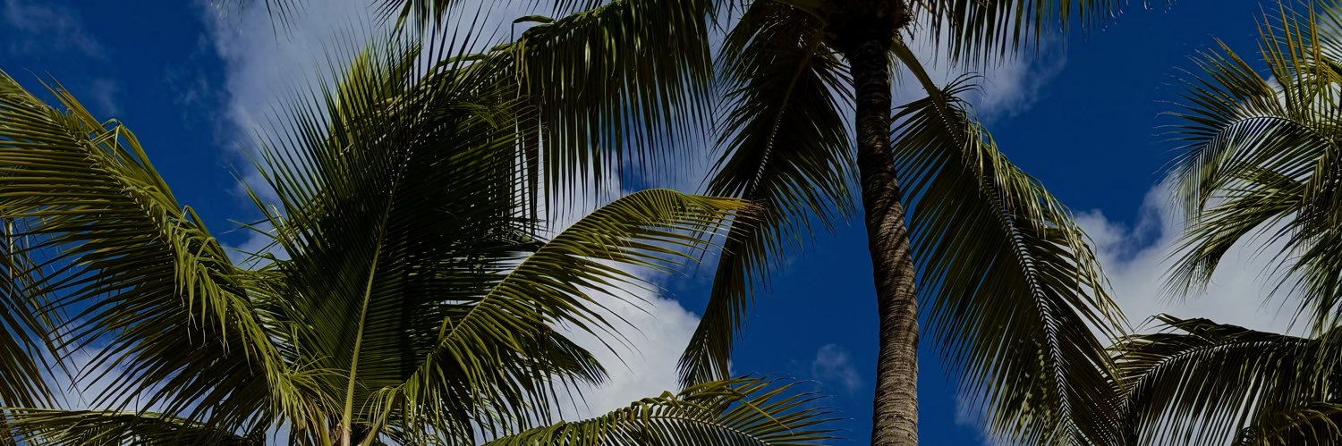 GuadaLoppez's profile banner image