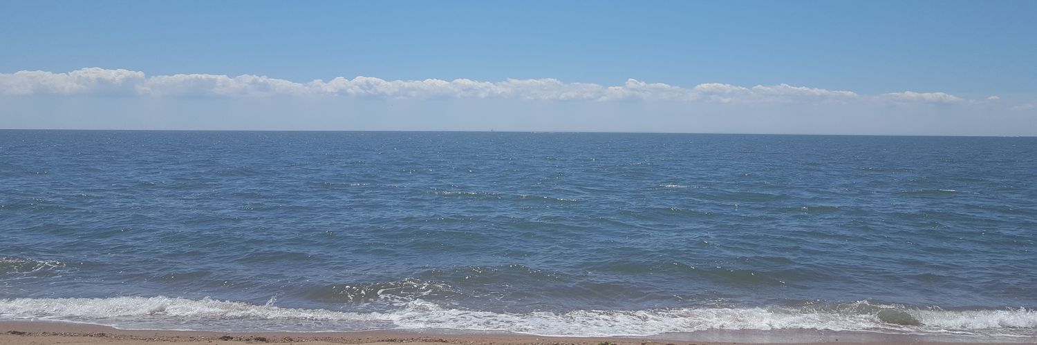 feliciamapuzzo's profile banner image