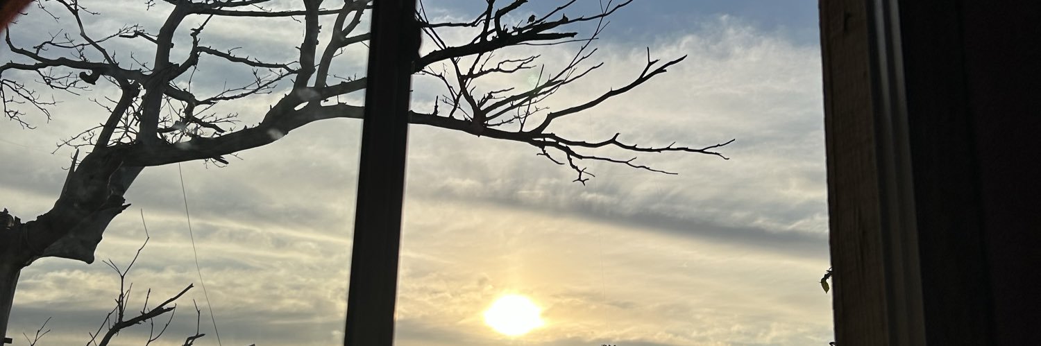 larynigg's profile banner image