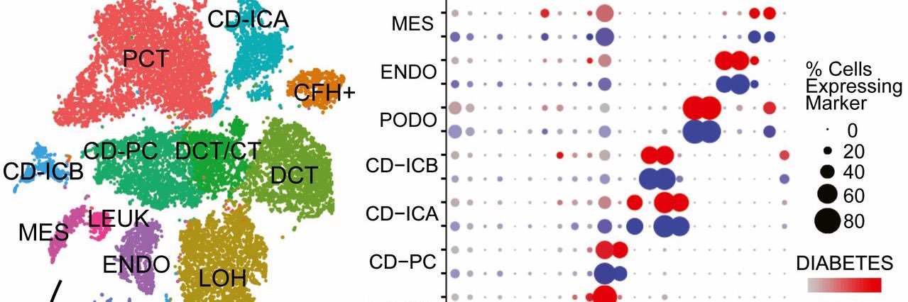 Single Cell Media banner