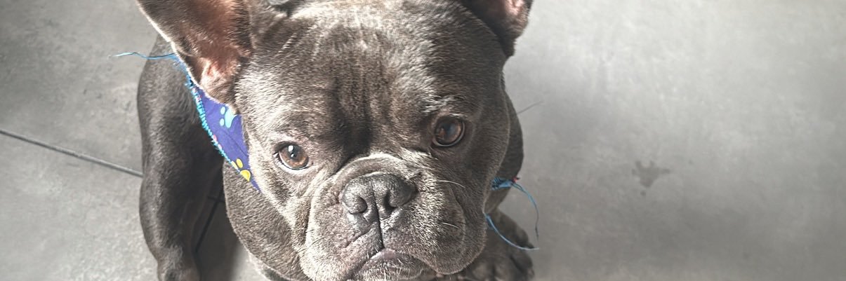 mxrti1_'s profile banner image