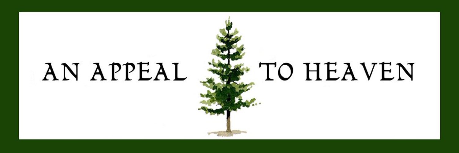 Collin Madsen 🌲 banner