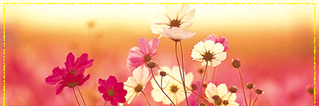 Biarezende_s's profile banner image