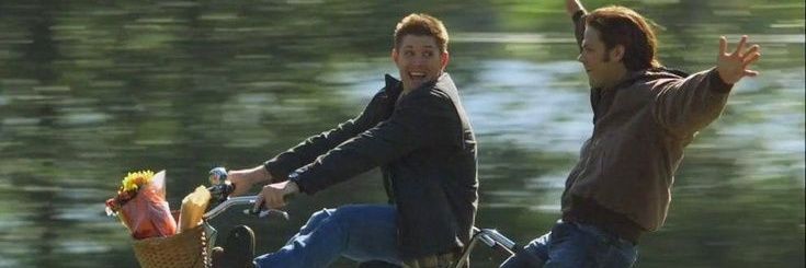 lehromao's profile banner image