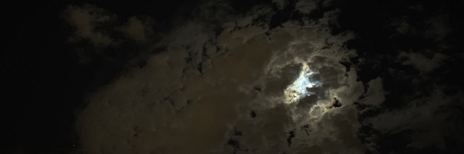 llroyp's profile banner image