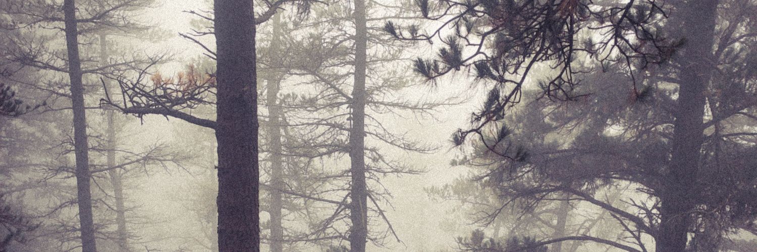 Diego Albeniz banner