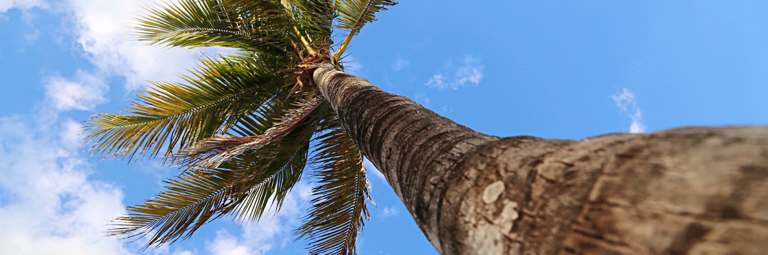 marcospixel_'s profile banner image