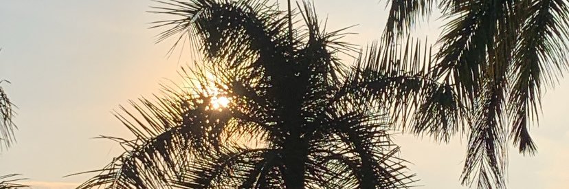 matchaxjaehyun🍵 banner