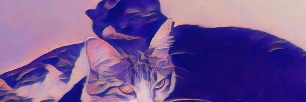 Sallynda_ Profile Banner