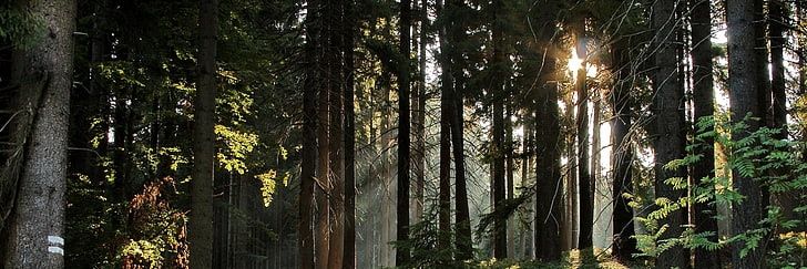 Shadown_G's profile banner image