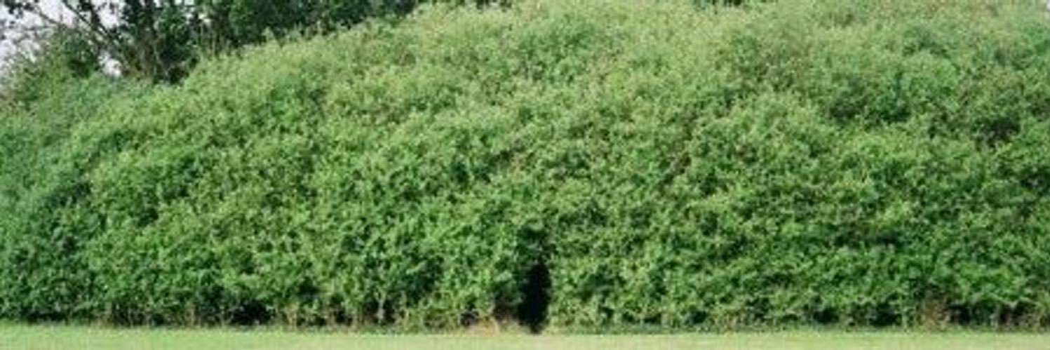 tbauerx's profile banner image