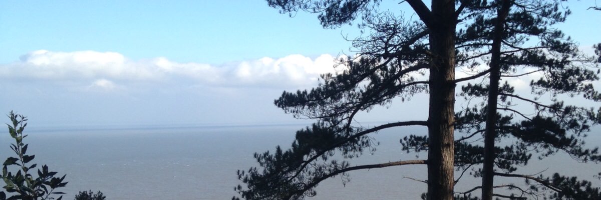 MichaelGibson85's profile banner image