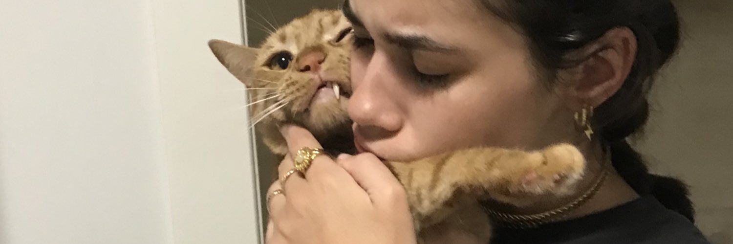 mariapaisp's profile banner image