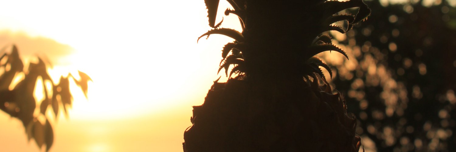 Marco Preußner banner