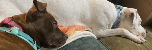 BaltimoreGal Profile Banner