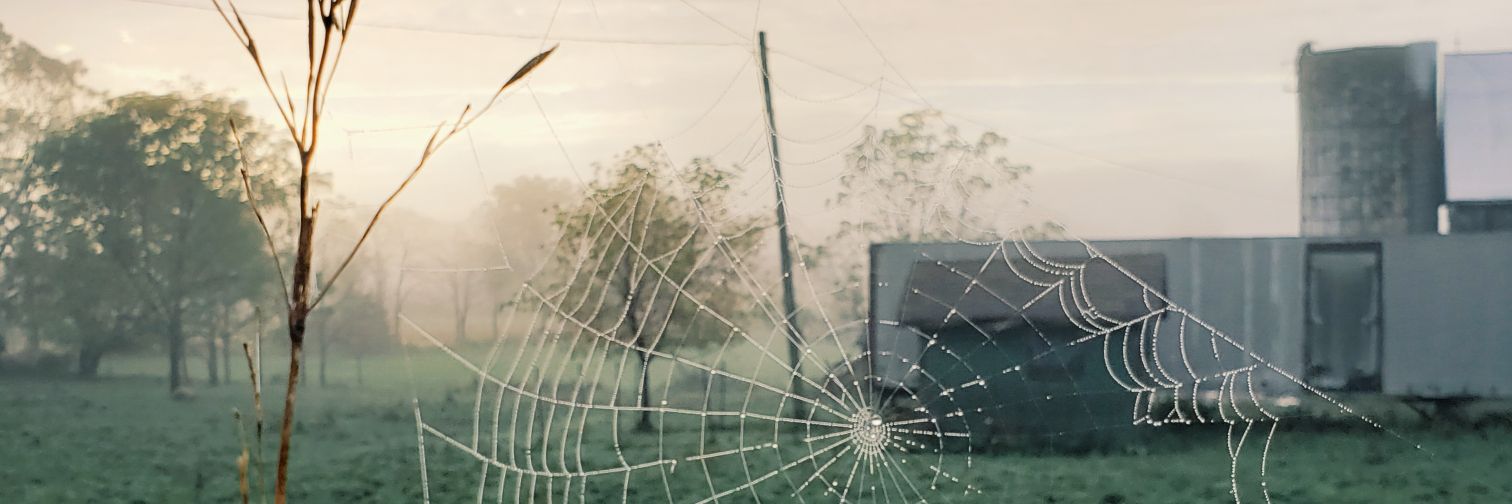 rebppark's profile banner image