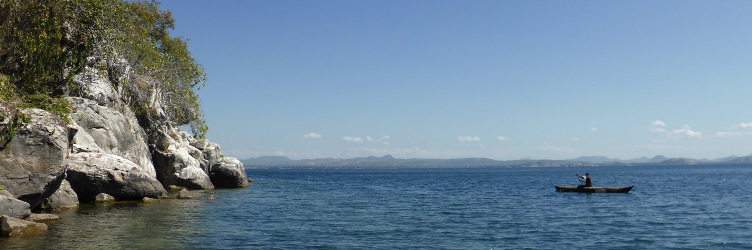 Catherine Sayer banner