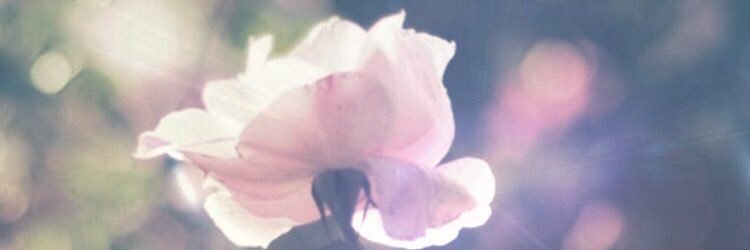 jeespowerful's profile banner image
