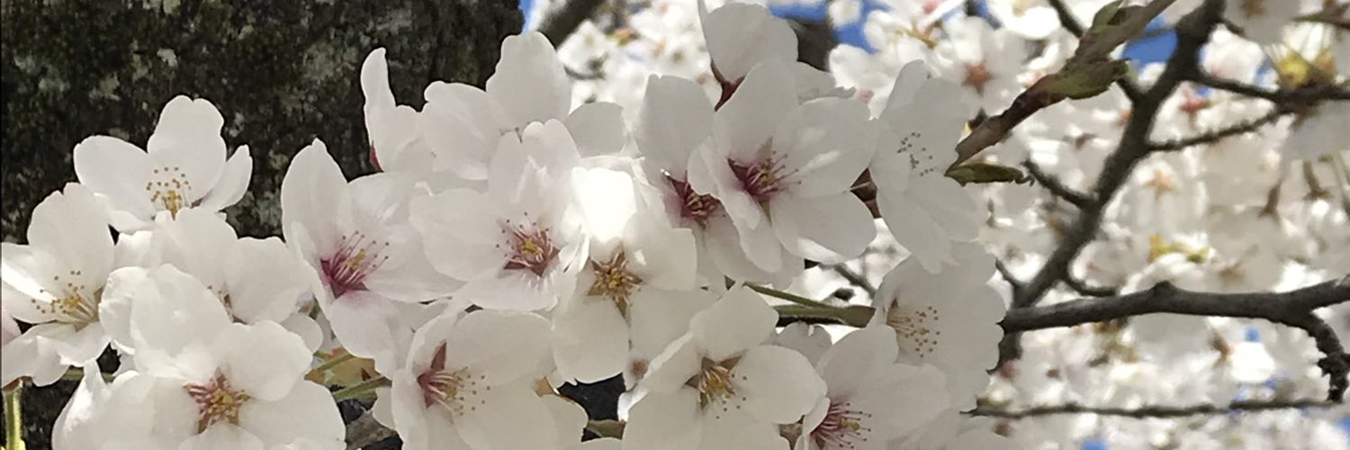 sub_aquamoon's profile banner image