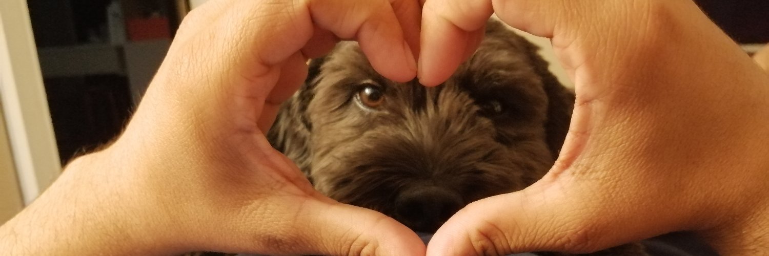 mariopaper17's profile banner image