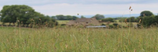 LandwiseNFM Profile Banner