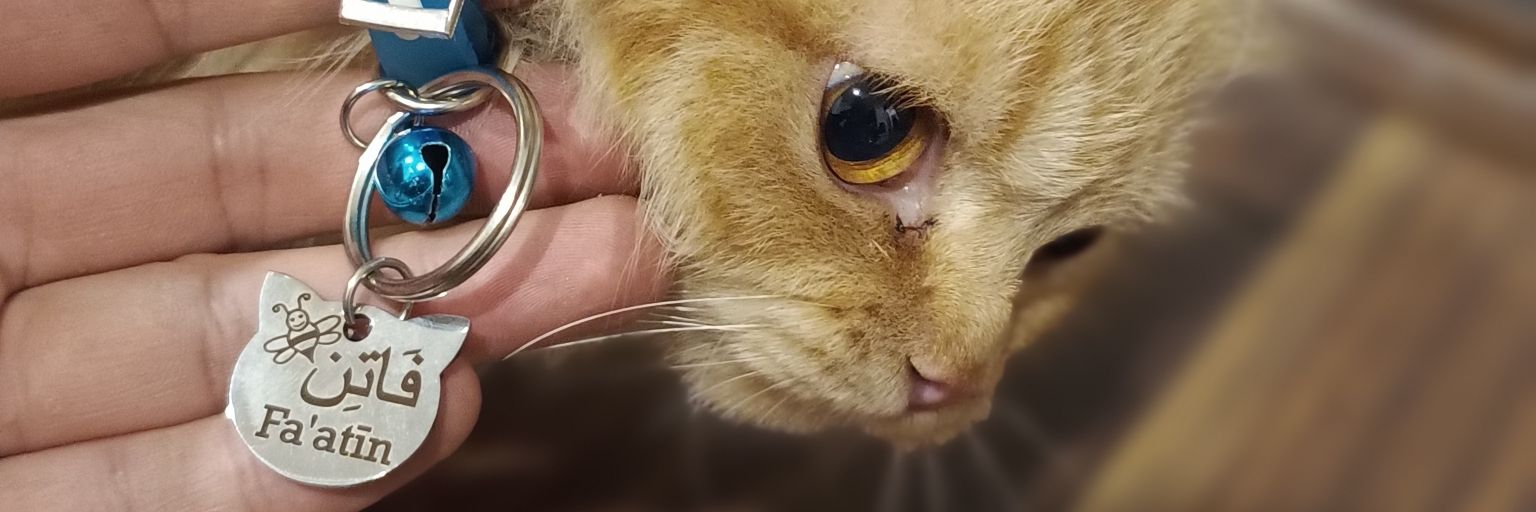 Waquar Amin Wani banner