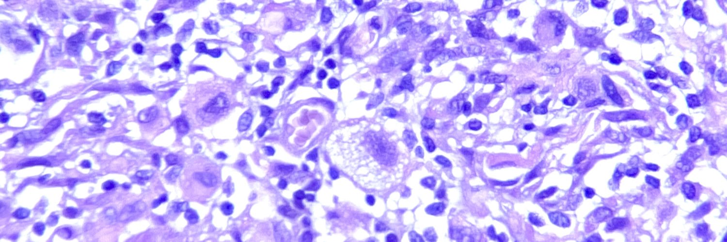 Marco A Rdgz Florido banner