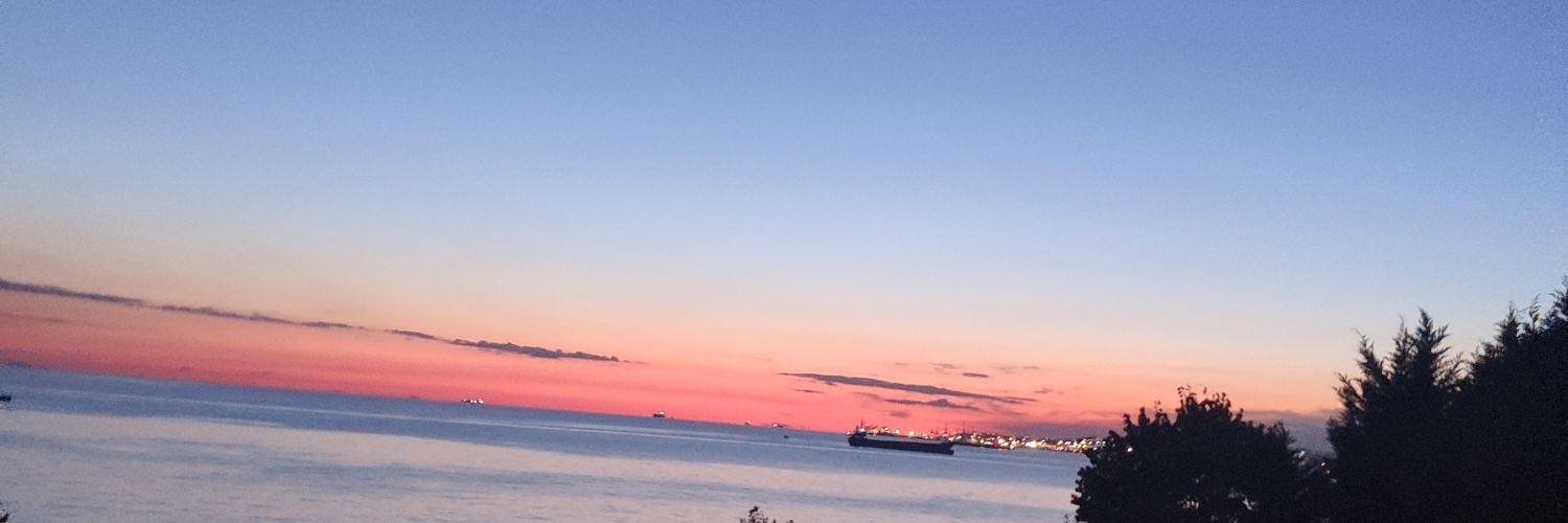 utkuozveri's profile banner image