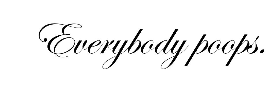Everybody Poops banner