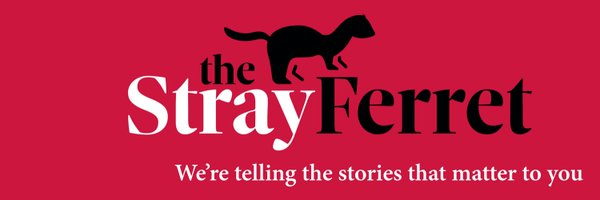 thestrayferret Profile Banner