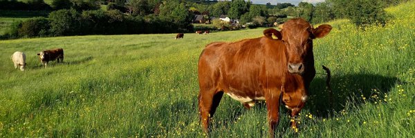 NFUWorcs Profile Banner