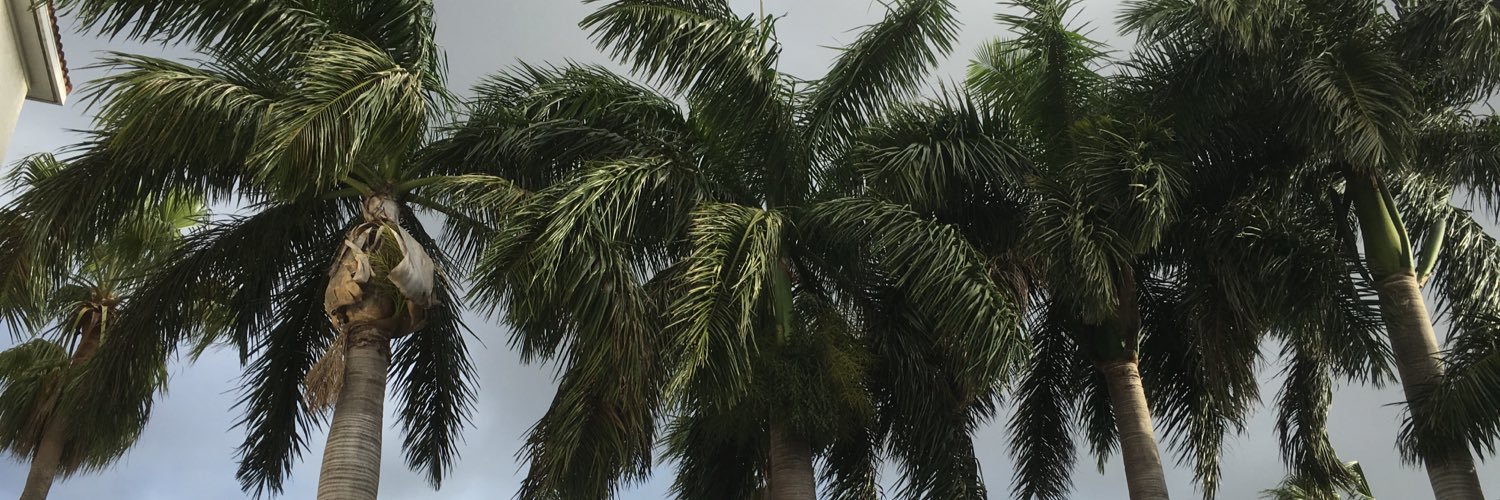 VideoGuyMike's profile banner image