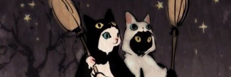 leonhf9's profile banner image