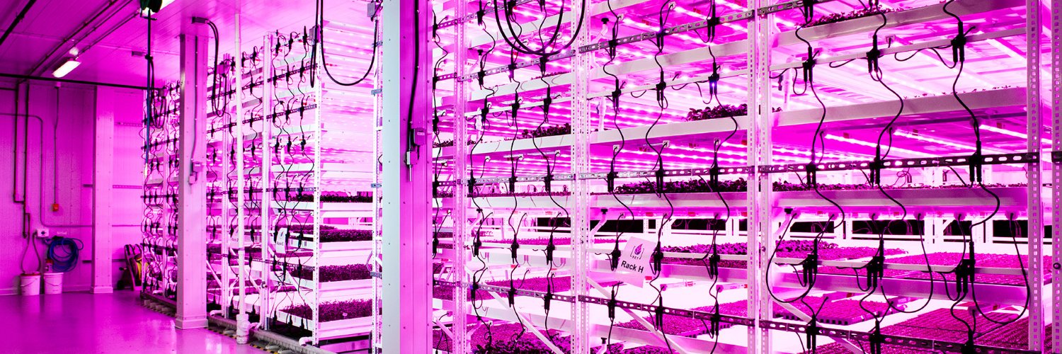 Planted Detroit banner