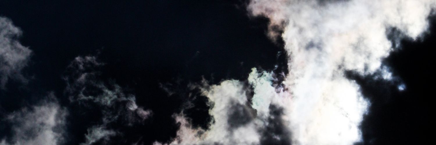 LuisilloPillo banner