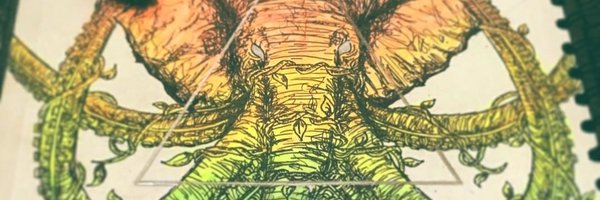 Gabi_Obs_ Profile Banner