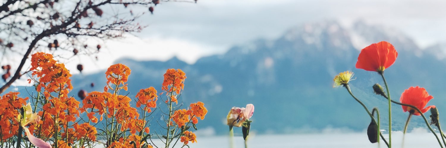 kirrssstennn's profile banner image