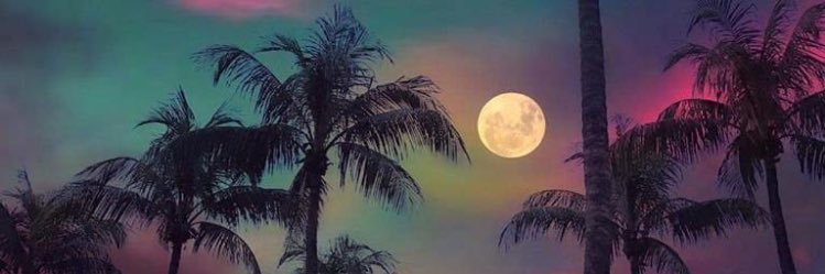 bellabeyy's profile banner image