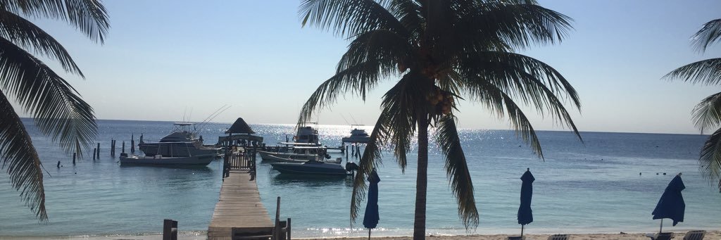 celcantu's profile banner image