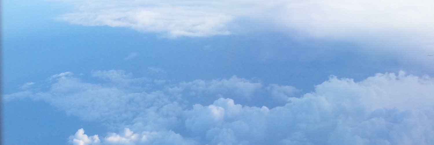 Caroline O Connell banner