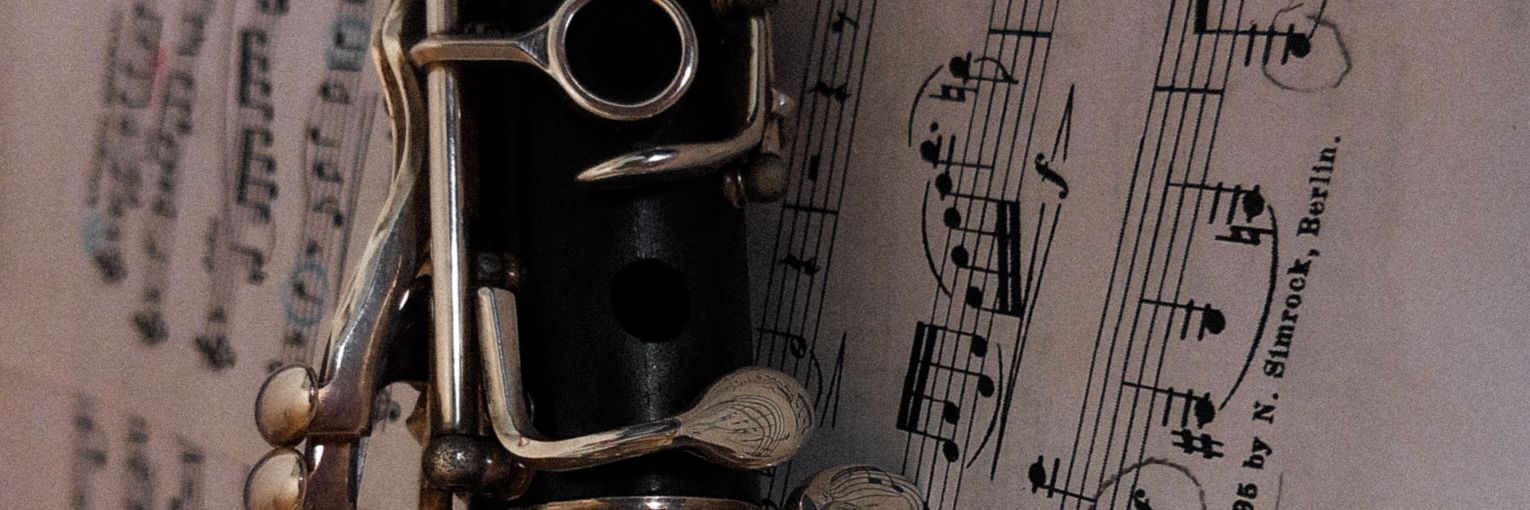 sofiasnchzz's profile banner image