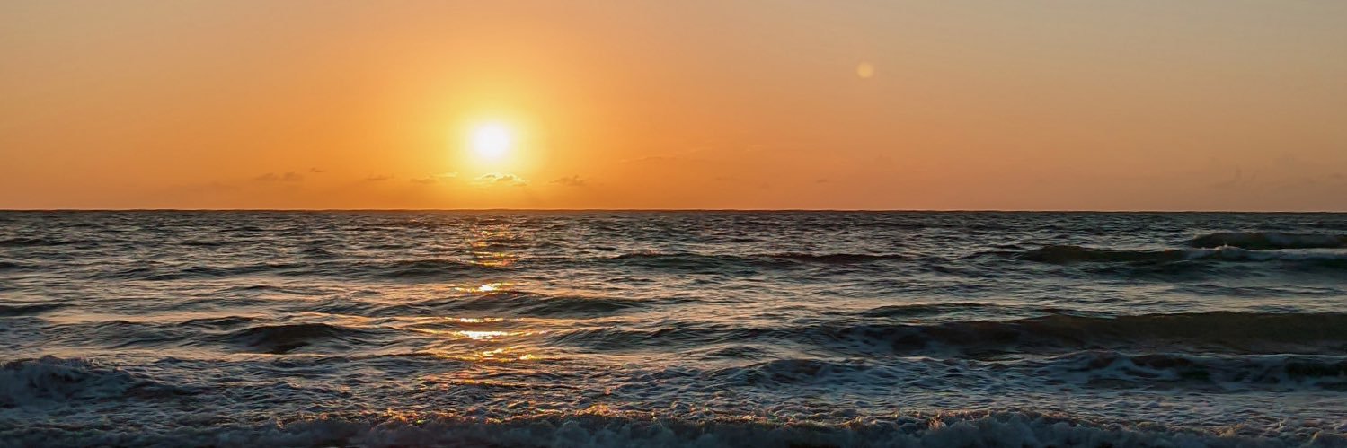 whyanaa's profile banner image