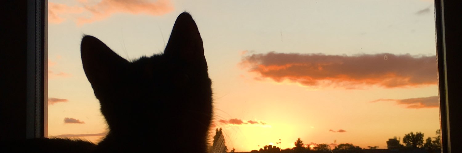 missmuddle_'s profile banner image