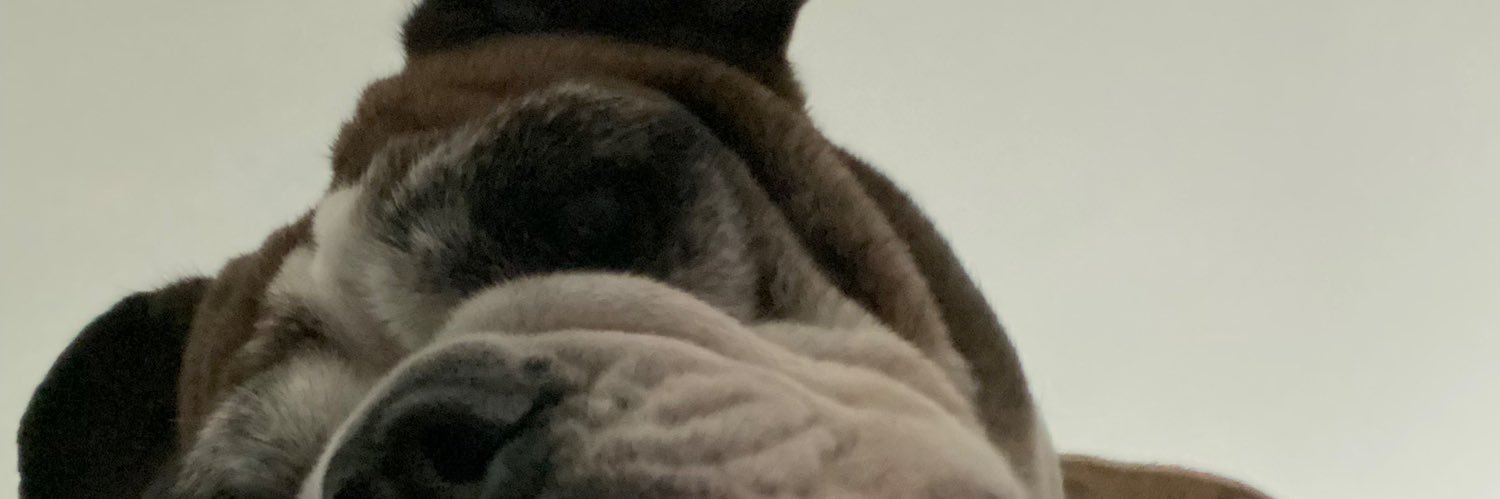 basukkdf's profile banner image