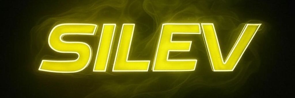 VikaSilev's profile banner image